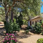 Pour4 Pers A 700m De La De Palombaggia Dom wakacyjny Porto-Vecchio (Corsica)