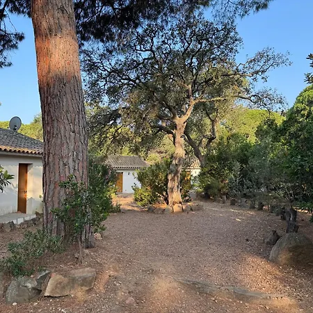 Tatil Evi Pour4 Pers A 700m De La De Palombaggia