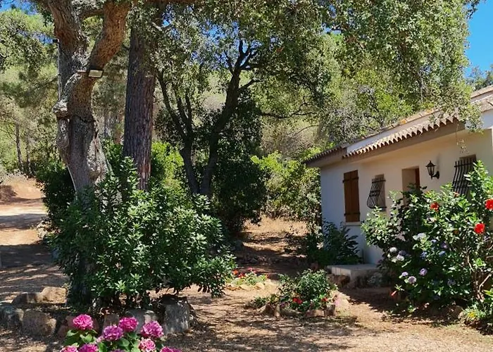 Pour4 Pers A 700m De La De Palombaggia Tatil Evi Porto-Vecchio (Corsica)