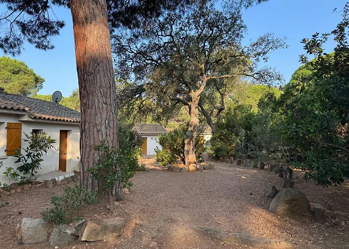 Tatil Evi Pour4 Pers A 700m De La De Palombaggia